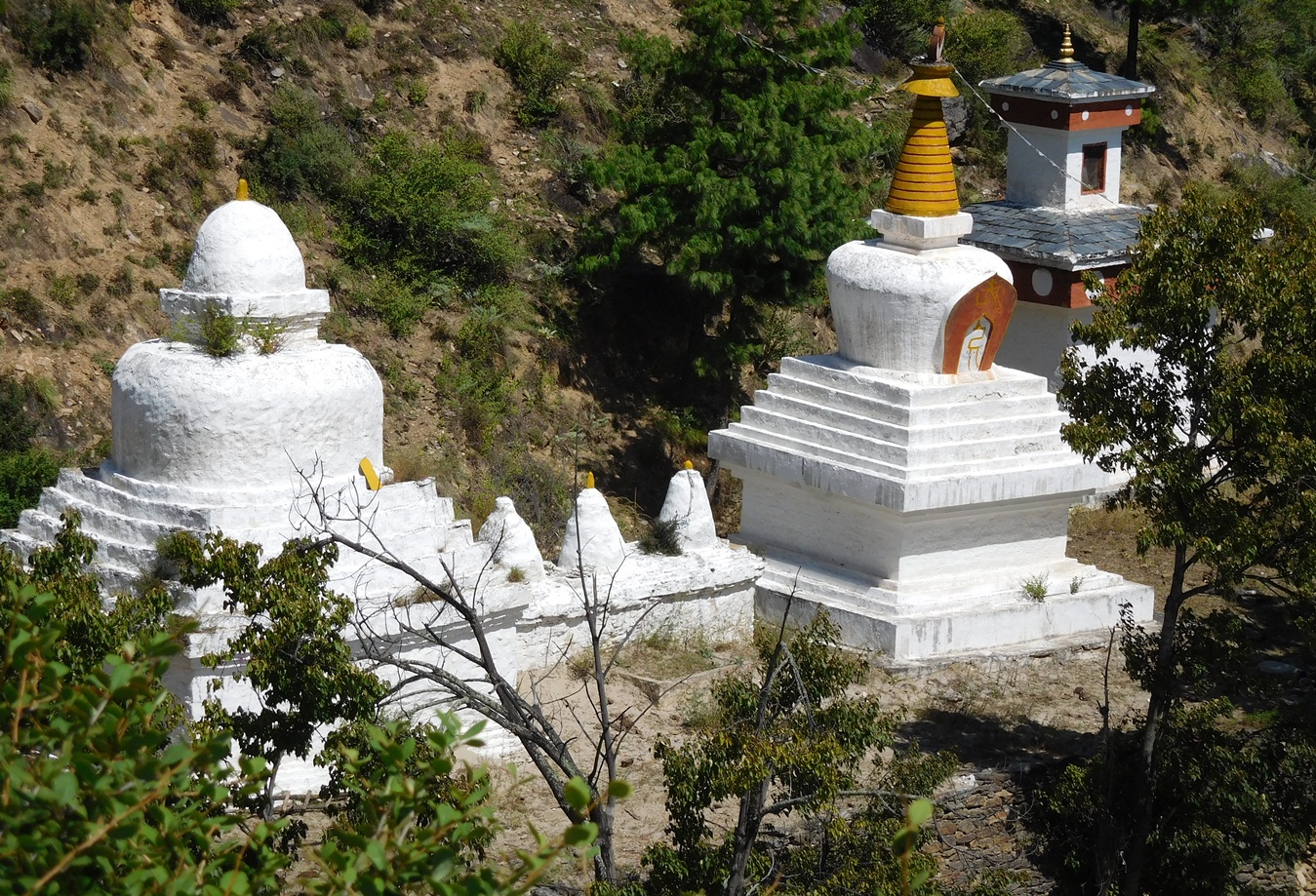 Discover Bhutan Culture Tour